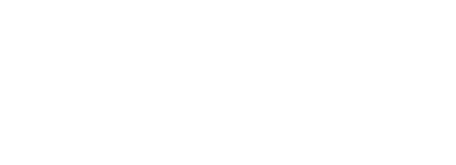 Netvisor logo in white